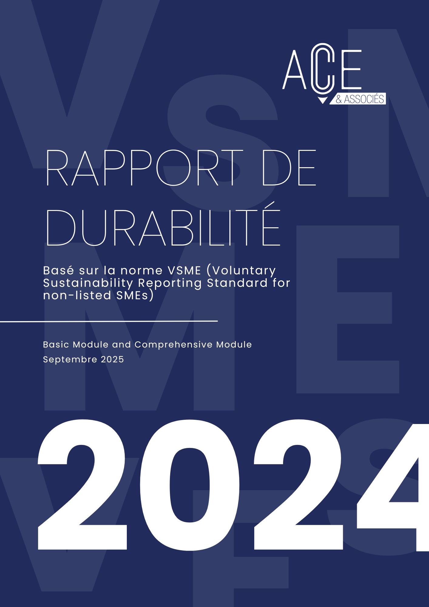 VF VSME ACE Associes